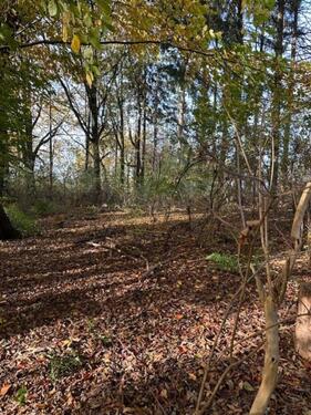 Foto - Bushcrafter, Naturliebhaber & Imker - Grünfläche zu verpachten!