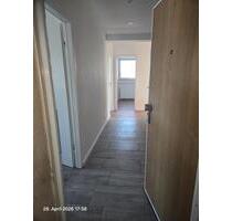 3 Zimmer Traumhafte, kernsanierte Wohnung zur Miete - Offenbach am Main Hafen 3 Zimmer Traumhafte, kernsanierte Wohnung zur Miete - Offenbach am Main Hafen