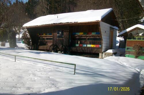Foto - 