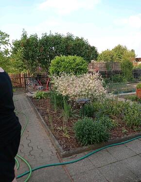 Foto - Pachtgarten Garten Schrebergarten