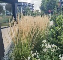 Komfortables Wohnen am Elbufer - 1.700,00&nbsp;EUR Kaltmiete, ca.&nbsp; 91,60&nbsp;m&sup2; in Dresden (PLZ: 01097) Neustadt