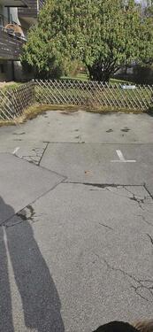 Foto - Autoabstellplatz - 50,00&nbsp;EUR Miete,