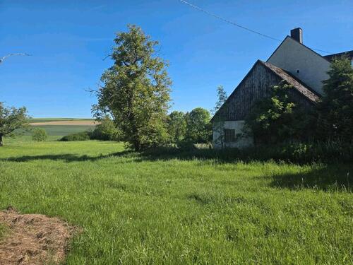 Foto - Bauernhaus, Landhaus zum Kaufen in Zülpich