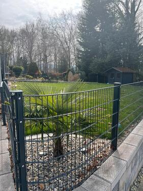 Foto - 5 Zimmer Einfamilienhaus in Gaggenau