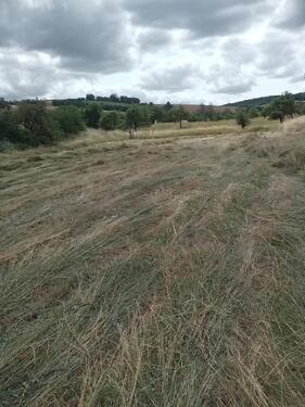 Foto - Verpachte Wiese in 06571 Gehofen