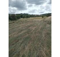 Verpachte Wiese in 06571 Gehofen - Bad Bibra