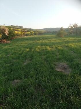 Foto - Grundst&uuml;ck in Bad Bibra zur Miete