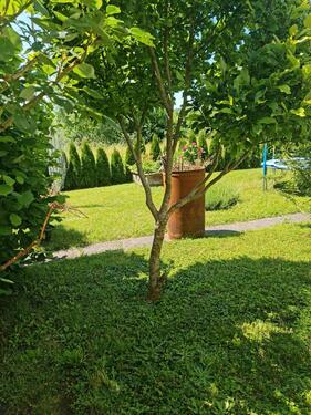 Foto - 8 Zimmer Einfamilienhaus zum Kaufen in Rauhenebrach