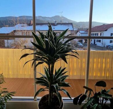 Foto - Etagenwohnung in Nesselwang zur Miete