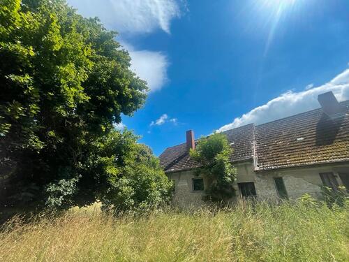 Foto - Einfamilienhaus in Ferdinandshof zum Kaufen