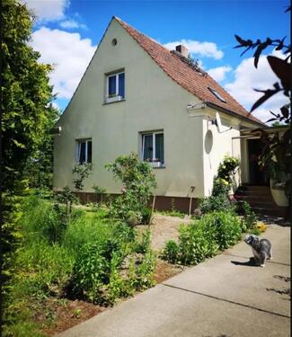 Foto - Immobilie in Steinbeck bei Höhenland