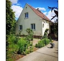 Immobilie in Steinbeck bei Höhenland - Bad Freienwalde (Oder)