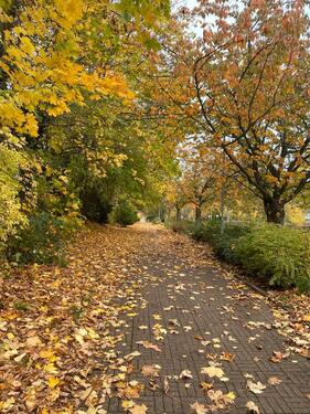 Foto - Wohnung in Villa in Bad Eilsen - 850,00 EUR Kaltmiete,