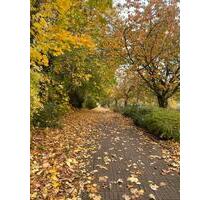 Wohnung in Villa in Bad Eilsen - 850,00 EUR Kaltmiete, in Bad Eilsen (PLZ: 31707)