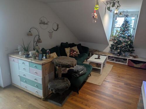 Foto - Helle 1,5 Zimmer DG Wohnung in Petershausen zur Zwischenmiete