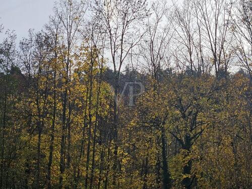 Foto - Etagenwohnung in Oberursel (Taunus) zur Miete