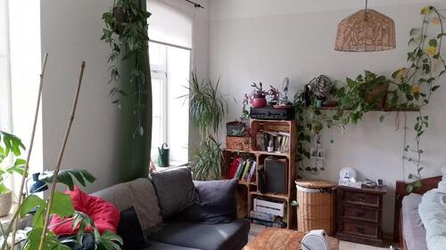 Foto - Zimmer in HausWG mit großem Garten