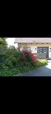 Foto - 4 Zimmer Einfamilienhaus zum Kaufen in Tangerhütte