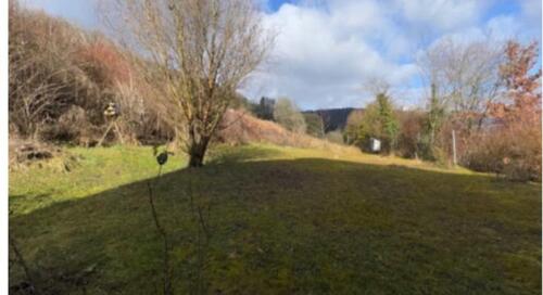 Foto - 8 Zimmer Einfamilienhaus zum Kaufen in Horb am Neckar