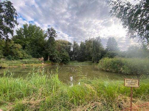 Foto - Grundstück in Markkleeberg