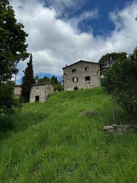 Foto - 5 Zimmer Einfamilienhaus zur Miete in Sigmaringen