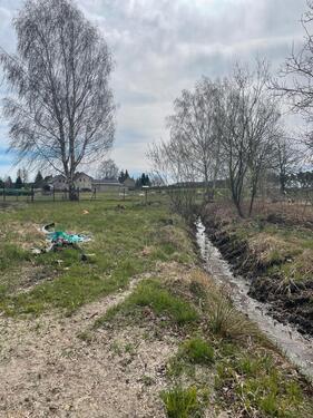 Foto - 1 Zimmer Einfamilienhaus zum Kaufen in Bad Liebenwerda
