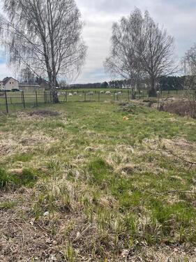 Foto - 1 Zimmer Einfamilienhaus in Bad Liebenwerda
