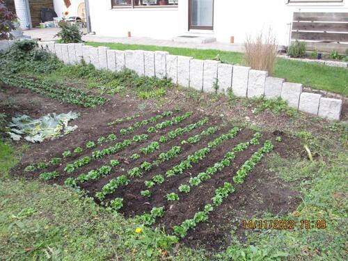 Foto - Einfamilienhaus in Oberkochen zum Kaufen