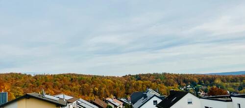 Foto - 2-Zimmerwohnung in Glattbach mit Wintergarten & Balkon