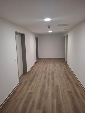 Foto - 2-3 Raumwohnung - 950,00 EUR Kaltmiete,