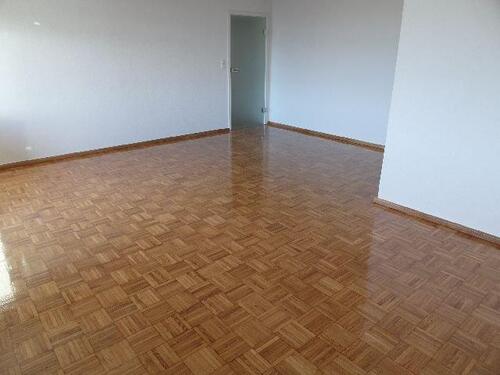 Foto - 2025 renovierte ruhige helle große 3 Zi.-Whg. mit Badewanne, Balkon, Dusche und Holz-Ofen-Anschluss!
