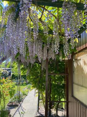 Foto - Grundst&uuml;ck zur Miete in Vechelde