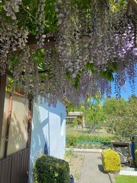 Foto - Grundst&uuml;ck in Vechelde zur Miete