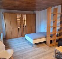 Kleine (Studenten) Wohnung in ruhigem Haus, zentral gelegen - Holzminden