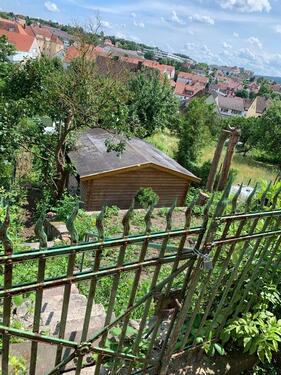 Foto - Kleingarten Schrebergarten zu verpachten