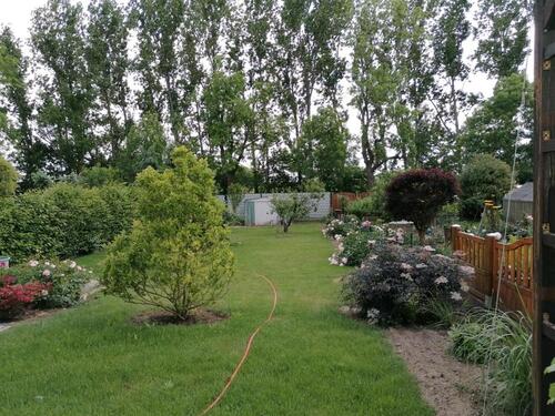 Foto - 4 Zimmer Doppelhaushälfte in Frankfurt (Oder)