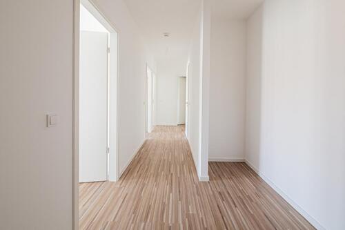 Foto - 4 Zimmer Etagenwohnung zur Miete in Dresden