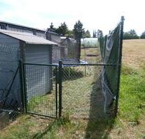 Garten, Grundstück, Freizeitgrundstück, Schrebergarten. - Mayen