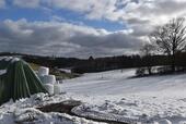 Foto - Resthof mit großen Stallungen und arrondiertem Weideland !!! BIO konformer Stall !!