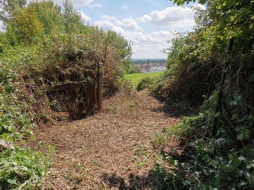 Foto - Ruhig gelegenes Baugrundstück am Weingartsteig in Forchheim