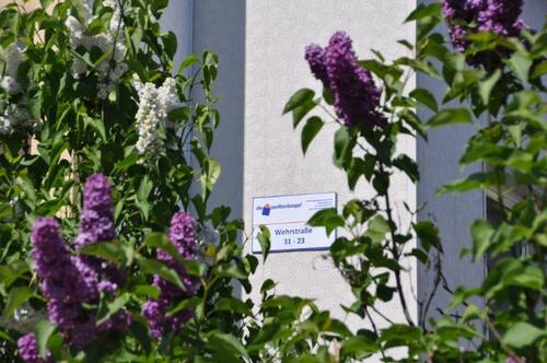 Foto - 2 Zimmer Etagenwohnung zur Miete in Senftenberg