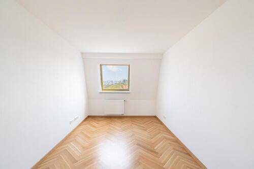 Foto - 2 Zimmer Etagenwohnung zur Miete in Dresden