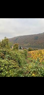 Foto - Freizeitgrundstück Weinberg Burg Coreidelsteiner Klotten Cochem