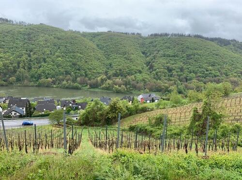 Foto - Grundstück zur Miete in Cochem