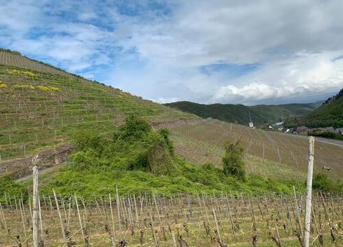 Foto - Grundstück in Cochem
