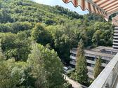 Foto - Modernisierte und barrierefreie Wohnung mit Blick in den Harz
