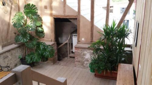 Foto - Ferienappartement - 40,00 EUR Kaltmiete,