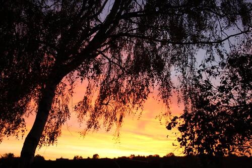 Foto - wg-platz für nur eine Person 65 Quadratmeter