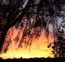 wg-platz für nur eine Person 65 Quadratmeter - Herford Diebrock wg-platz für nur eine Person 65 Quadratmeter - Herford Diebrock