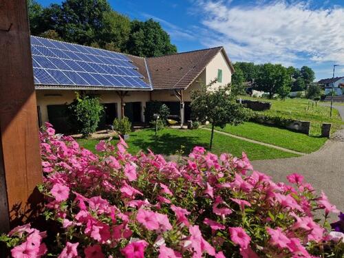 Foto - Bauernhaus, Landhaus in Birkenfeld zum Kaufen